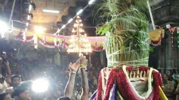  Thiruchendur Murugan Temple Panneer Ilai vipudhi for chronic diseases 