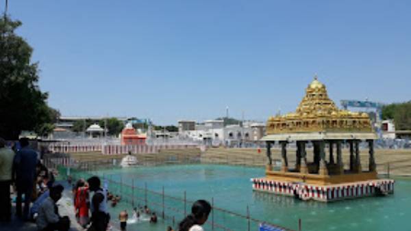 சாபமிட்ட முனிவர் 