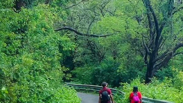 கூலி தொழிலாளர்கள் 