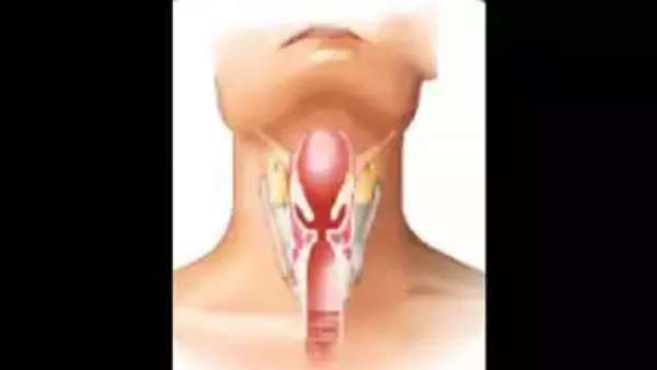  சுவாசப்பாதையை