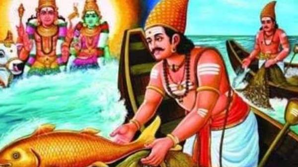 வலையில் சிக்கிய தங்கமீன் 