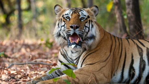 நிபந்தனை நிபந்தனை