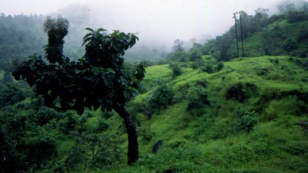 ஆபத்தானது 