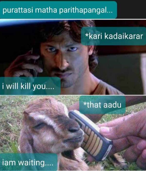 Viral memes collection on sunday special