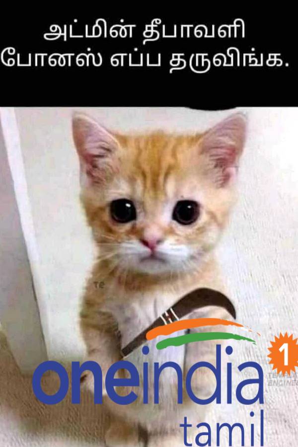 Viral memes collection on Diwali bonus