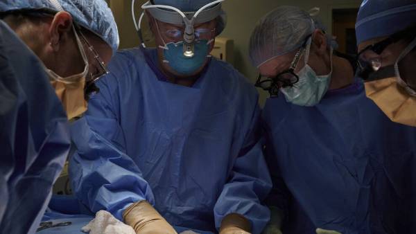 மனிதருக்குப் பன்றியின் கிட்னி