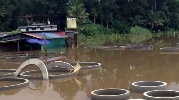  வாகனங்கள்