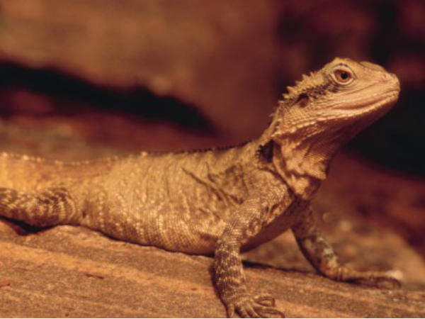  எச்சரிக்கை