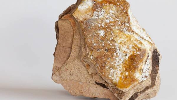 1 kg 1 crore rupees ... The world beats for ambergris .. Detailed information 