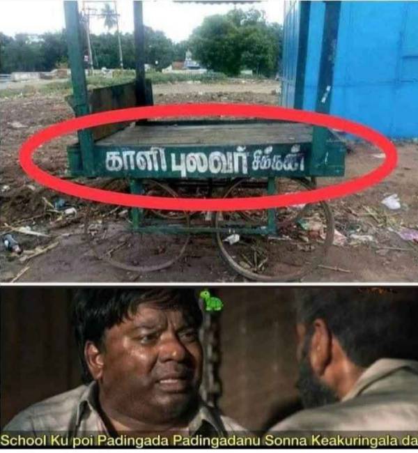 Viral memes collection on sunday special