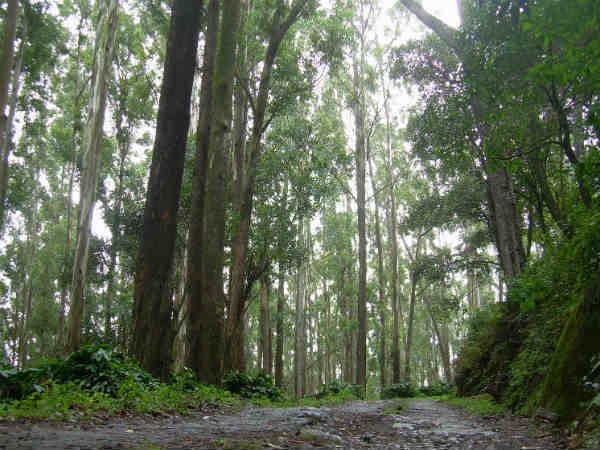 ஆவணம் வெளியீடு 