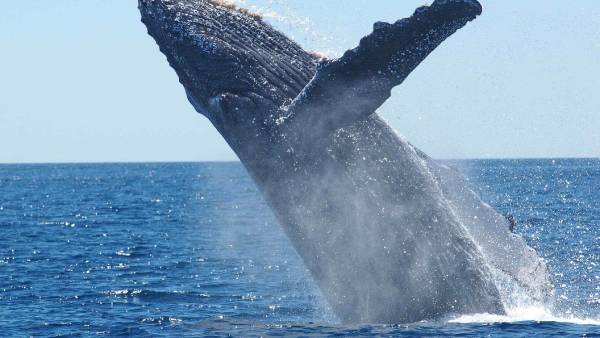 குறுக்கு வழி 