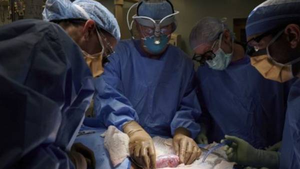 மருத்துவ ஆய்வுகள்