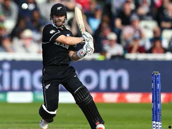 கேன் வில்லியம்சன் என்னும் தூண் கேன் வில்லியம்சன் என்னும் தூண்