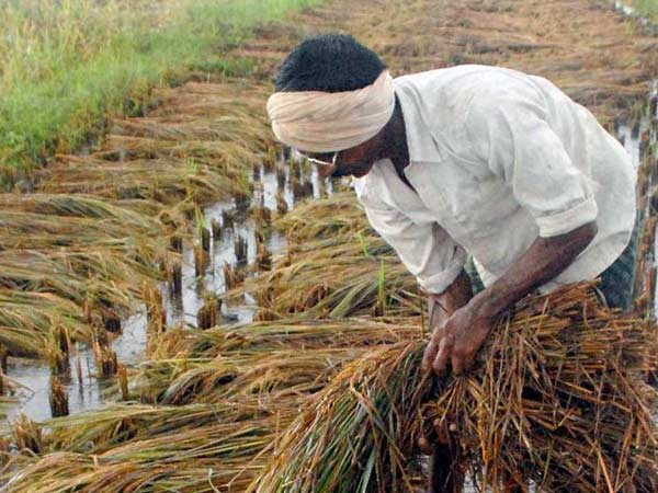 உணவுத்துறை அதிகாரிகளின் அலட்சியம் 