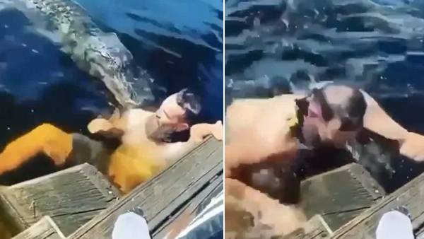  பரபரப்பு காட்சி