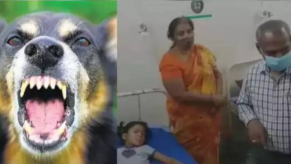 உத்தரவு