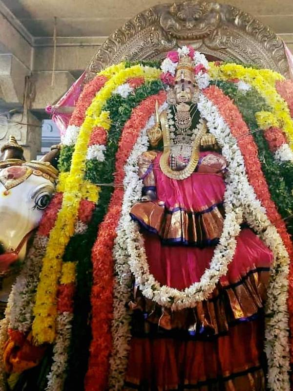 சமயபுரம் மாரியம்மன் தரிசனம் 