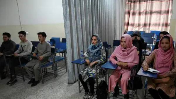  பல்கலைக்கழகம்