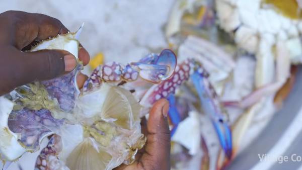 பிரியாணிக்கு ரெய்தா 