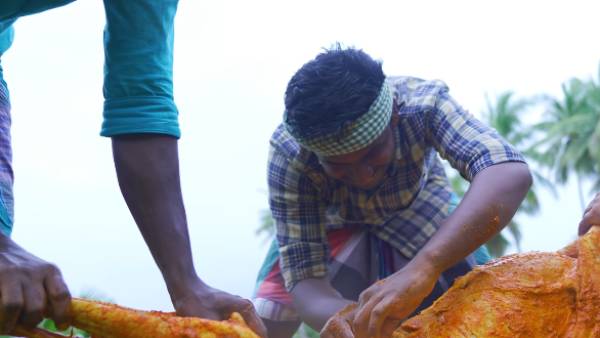 ஆட்டுக்குள் பொதித்தனர் 