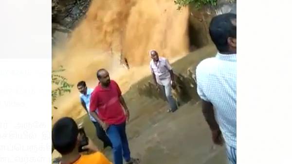 ஆணைவாரி ஆணைவாரி