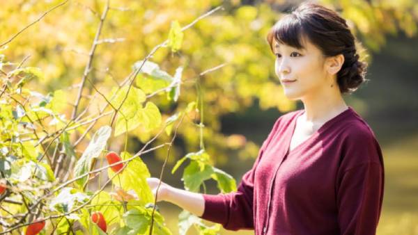 நெகிழ்ச்சி நெகிழ்ச்சி