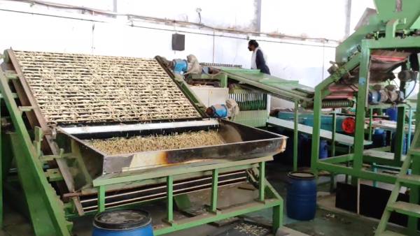 2 ரூபாய்