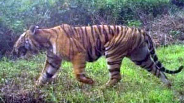 நிபந்தனை நிபந்தனை