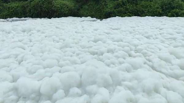 ஆய்வு முடிவு தேவை