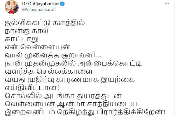 வெள்ளைக்கொம்பன் உயிரிழப்பு 