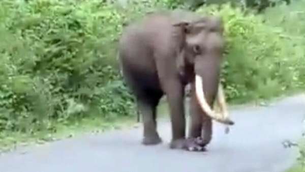 கணவன்-மனைவி நடைபயிற்சி சென்றனர் கணவன்-மனைவி நடைபயிற்சி சென்றனர்
