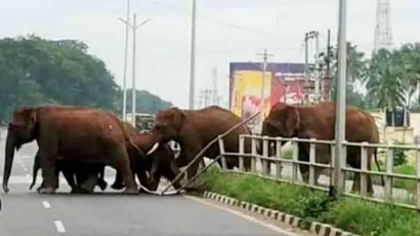 வனத்துறையினர் எச்சரிக்கை வனத்துறையினர் எச்சரிக்கை