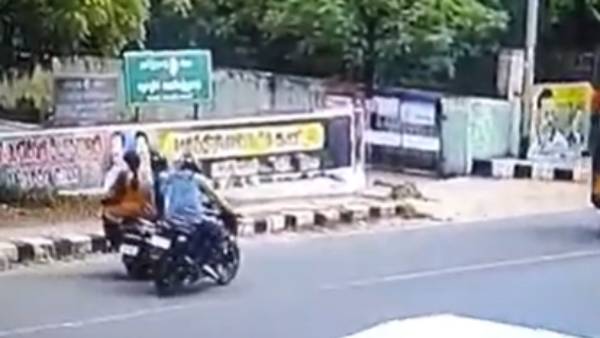 கொள்ளையர்கள் 