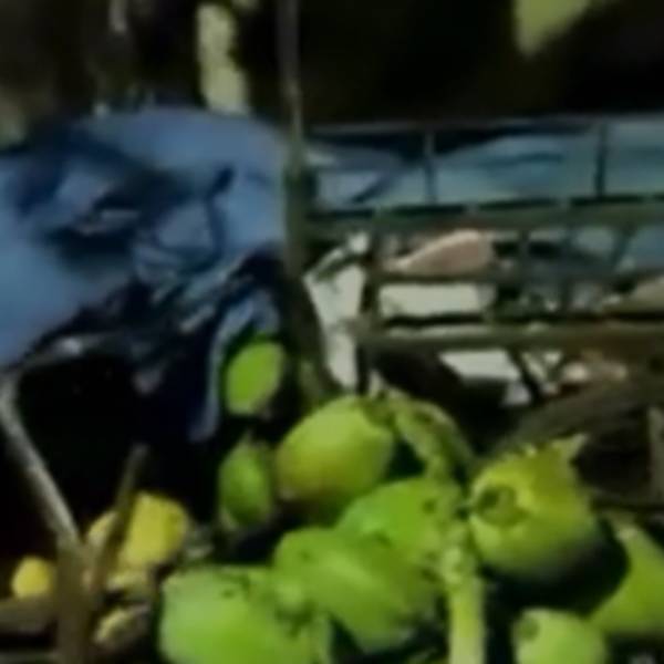 போலீஸ் விசாரணை 