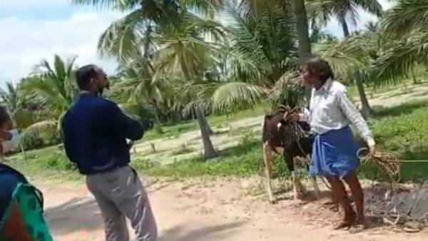 கொரோனா கொரோனா