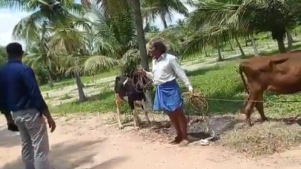 தடுப்பூசி போட்டுக் கொண்டார்