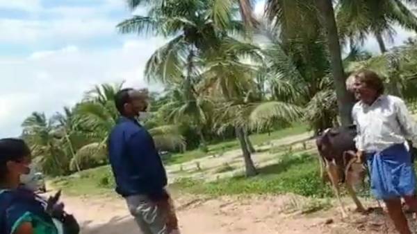 ஆடு, மாடு ஆடு, மாடு