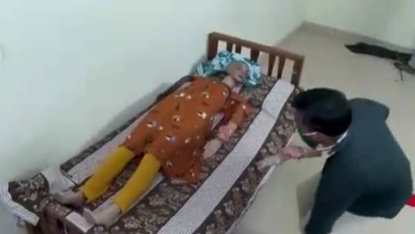 நல்லப்பாம்பு 