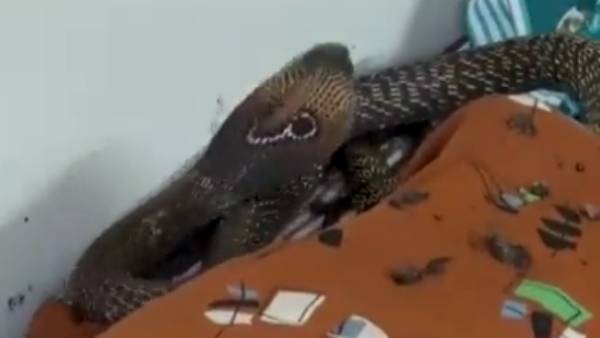 அதிக வலி 