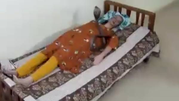 பாம்பு கடி 