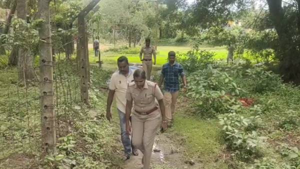 உடலுறவு உடலுறவு