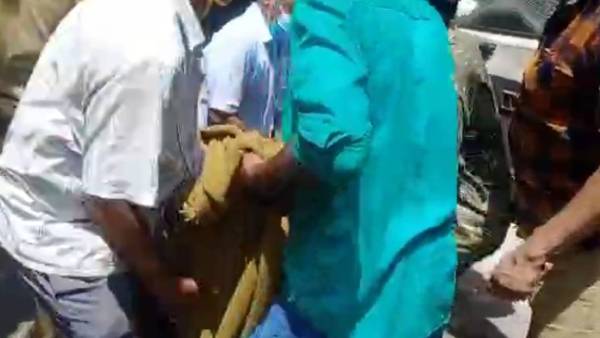 அவமானத்தால் தற்கொலை 