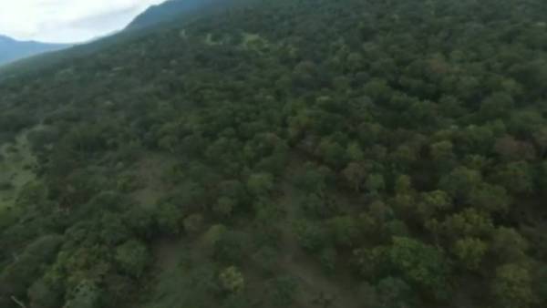 4 இடங்கள் 