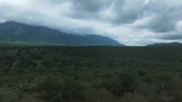 சிங்காரா வனப்பகுதி 