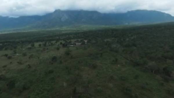 கோவையிலிருந்து வனத்துறையினர் 