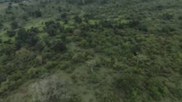 85 க்கும் மேற்பட்ட தானியங்கி கேமராக்கள் 