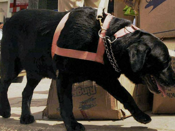 குழுக்கள் குழுக்கள்