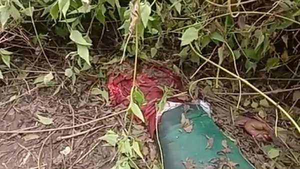 விசாரணை விசாரணை