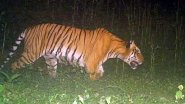 2 ஊசிகள் 2 ஊசிகள்